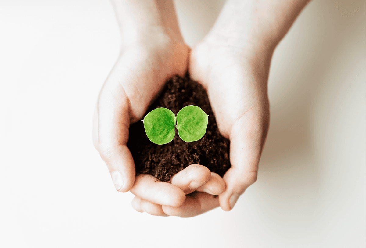 可持续发展愿景